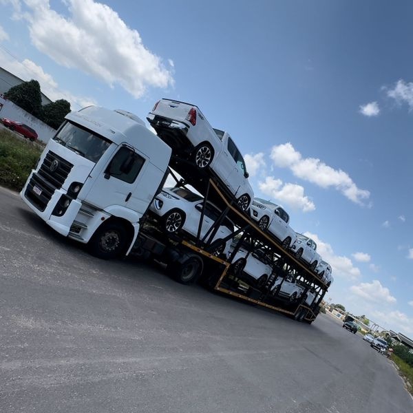 EDIÇÃO 027 - CEGONHA MILIONÁRIA